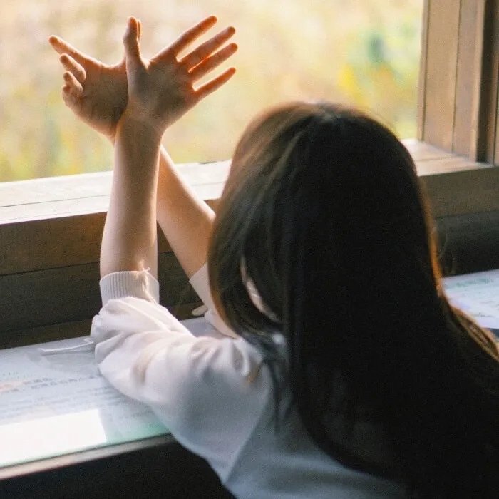 豪华3鼎立！多美卡列车电影祭